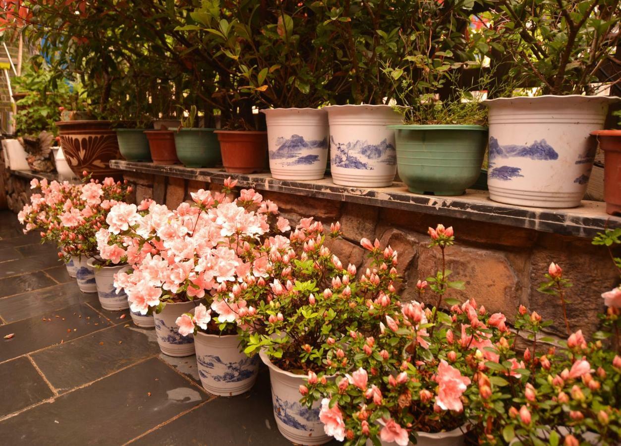 Floral Hotel - Baihui Living Zhangjiajie Buitenkant foto